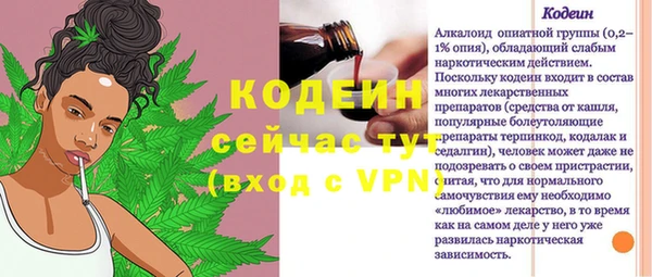 хмурый Гусев