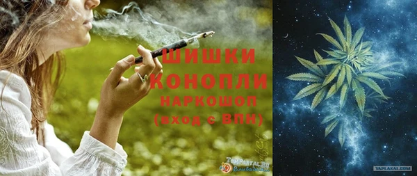 хмурый Гусев